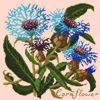 Cornflower Needlepoint Kit Kits Elizabeth Bradley Design Salmon Pink 
