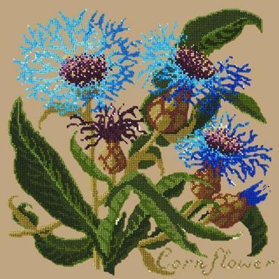Cornflower Needlepoint Kit Kits Elizabeth Bradley Design Sand 
