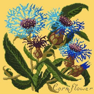 Cornflower Needlepoint Kit Kits Elizabeth Bradley Design Sunflower Yellow 
