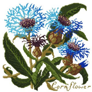 Cornflower Needlepoint Kit Kits Elizabeth Bradley Design Winter White 
