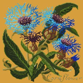 Cornflower Needlepoint Kit Kits Elizabeth Bradley Design Yellow 
