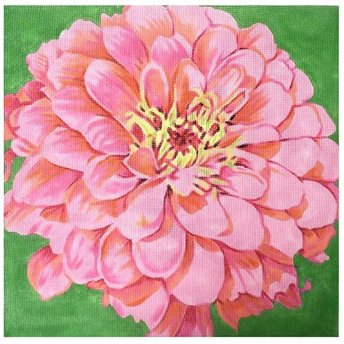 Cosmopolitan Zinnias on Green Painted Canvas The Meredith Collection 
