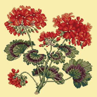 Cottage Garden Geranium Needlepoint Kit Kits Elizabeth Bradley Design Butter Yellow 
