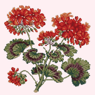 Cottage Garden Geranium Needlepoint Kit Kits Elizabeth Bradley Design Cream 
