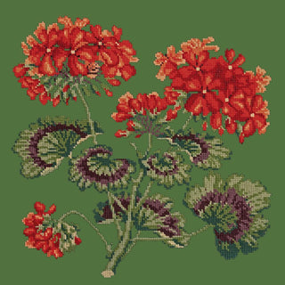 Cottage Garden Geranium Needlepoint Kit Kits Elizabeth Bradley Design Dark Green 
