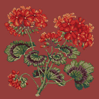 Cottage Garden Geranium Needlepoint Kit Kits Elizabeth Bradley Design Dark Red 
