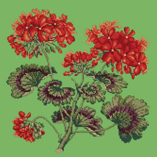 Cottage Garden Geranium Needlepoint Kit Kits Elizabeth Bradley Design Grass Green 
