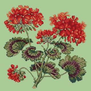 Cottage Garden Geranium Needlepoint Kit Kits Elizabeth Bradley Design Pale Green 
