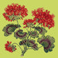 Cottage Garden Geranium Needlepoint Kit Kits Elizabeth Bradley Design Pale Lime 