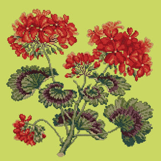 Cottage Garden Geranium Needlepoint Kit Kits Elizabeth Bradley Design Pale Lime 
