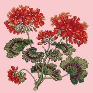 Cottage Garden Geranium Needlepoint Kit Kits Elizabeth Bradley Design Pale Rose 
