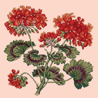 Cottage Garden Geranium Needlepoint Kit Kits Elizabeth Bradley Design Salmon Pink 
