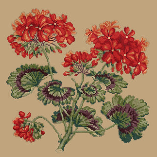 Cottage Garden Geranium Needlepoint Kit Kits Elizabeth Bradley Design Sand 
