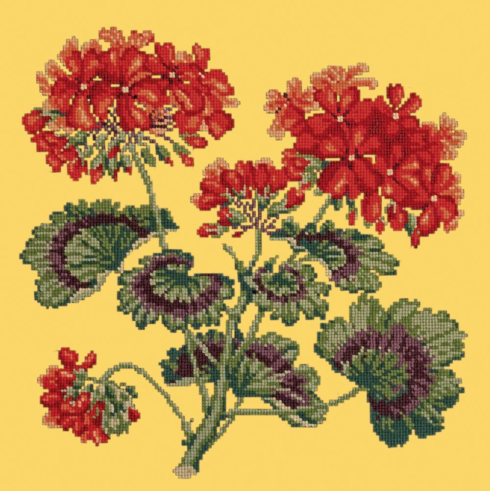 Cottage Garden Geranium Needlepoint Kit Kits Elizabeth Bradley Design Sunflower Yellow 
