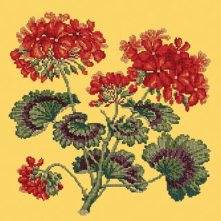 Cottage Garden Geranium Needlepoint Kit Kits Elizabeth Bradley Design Sunflower Yellow 
