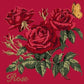 Cottage Garden Rose Needlepoint Kit Kits Elizabeth Bradley Design Bright Red 