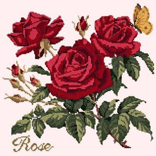 Cottage Garden Rose Needlepoint Kit Kits Elizabeth Bradley Design Cream 
