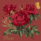 Cottage Garden Rose Needlepoint Kit Kits Elizabeth Bradley Design Dark Red 