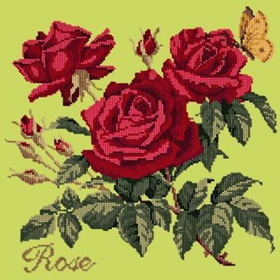 Cottage Garden Rose Needlepoint Kit Kits Elizabeth Bradley Design Pale Lime 
