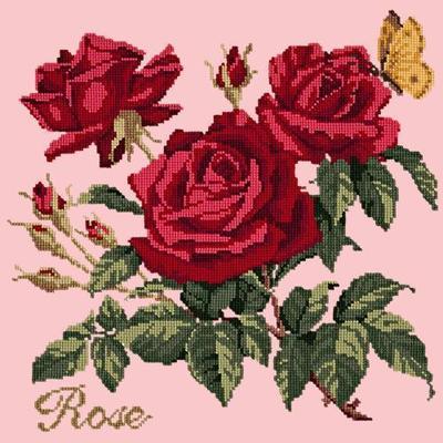 Cottage Garden Rose Needlepoint Kit Kits Elizabeth Bradley Design Pale Rose 
