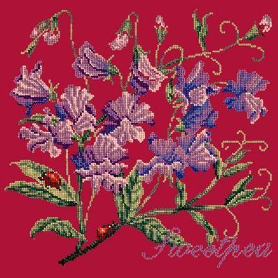Cottage Garden Sweetpea Needlepoint Kit Kits Elizabeth Bradley Design Bright Red 

