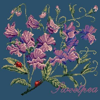 Cottage Garden Sweetpea Needlepoint Kit Kits Elizabeth Bradley Design Dark Blue 
