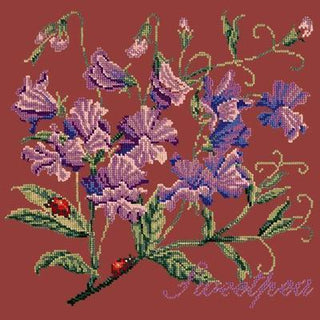 Cottage Garden Sweetpea Needlepoint Kit Kits Elizabeth Bradley Design Dark Red 
