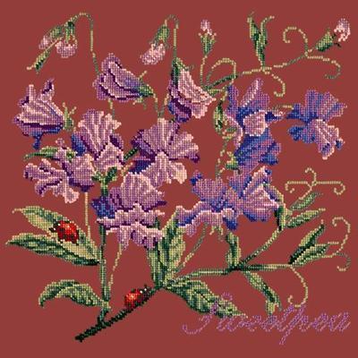 Cottage Garden Sweetpea Needlepoint Kit Kits Elizabeth Bradley Design Dark Red 
