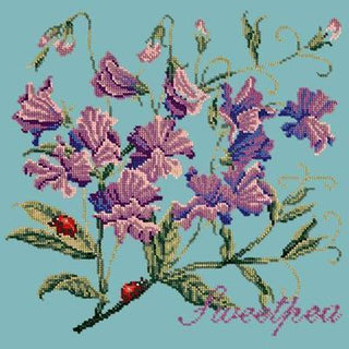 Cottage Garden Sweetpea Needlepoint Kit Kits Elizabeth Bradley Design Duck Egg Blue 
