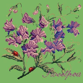 Cottage Garden Sweetpea Needlepoint Kit Kits Elizabeth Bradley Design Grass Green 
