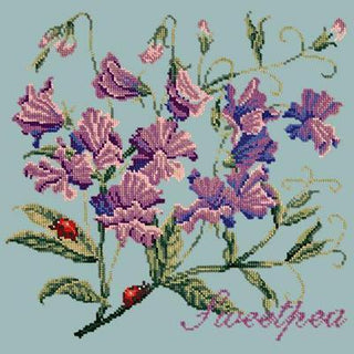 Cottage Garden Sweetpea Needlepoint Kit Kits Elizabeth Bradley Design Pale Blue 
