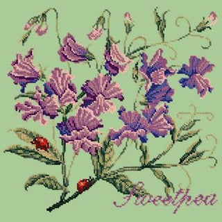 Cottage Garden Sweetpea Needlepoint Kit Kits Elizabeth Bradley Design Pale Green 
