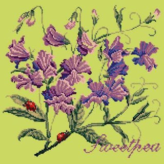 Cottage Garden Sweetpea Needlepoint Kit Kits Elizabeth Bradley Design Pale Lime 
