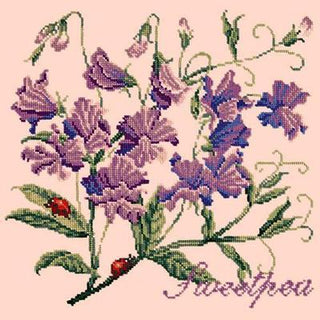 Cottage Garden Sweetpea Needlepoint Kit Kits Elizabeth Bradley Design Salmon Pink 
