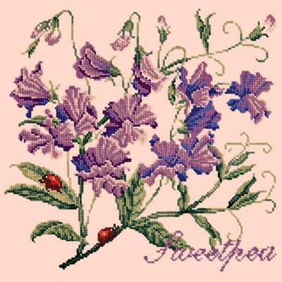 Cottage Garden Sweetpea Needlepoint Kit Kits Elizabeth Bradley Design Salmon Pink 
