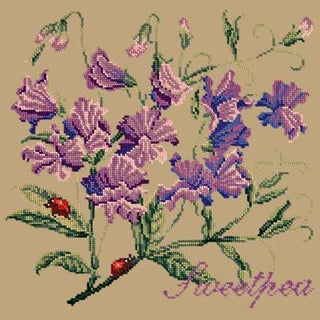 Cottage Garden Sweetpea Needlepoint Kit Kits Elizabeth Bradley Design Sand 
