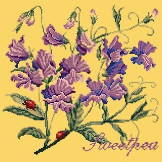 Cottage Garden Sweetpea Needlepoint Kit Kits Elizabeth Bradley Design Sunflower Yellow 

