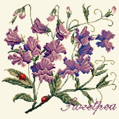 Cottage Garden Sweetpea Needlepoint Kit Kits Elizabeth Bradley Design Winter White 