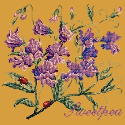Cottage Garden Sweetpea Needlepoint Kit Kits Elizabeth Bradley Design Yellow 
