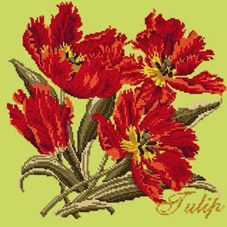 Cottage Garden Tulip Needlepoint Kit Kits Elizabeth Bradley Design 
