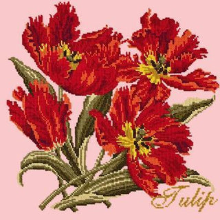 Cottage Garden Tulip Needlepoint Kit Kits Elizabeth Bradley Design 
