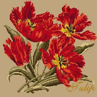 Cottage Garden Tulip Needlepoint Kit Kits Elizabeth Bradley Design 
