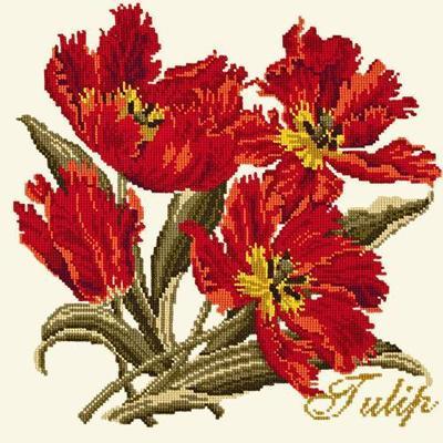 Cottage Garden Tulip Needlepoint Kit Kits Elizabeth Bradley Design 