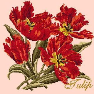 Cottage Garden Tulip Needlepoint Kit Kits Elizabeth Bradley Design 
