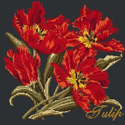 Cottage Garden Tulip Needlepoint Kit Kits Elizabeth Bradley Design Black 
