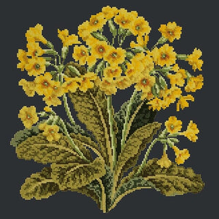 Cowslip Kits Elizabeth Bradley Design Black 
