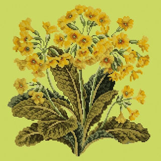 Cowslip Kits Elizabeth Bradley Design Pale Lime 
