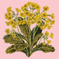 Cowslip Kits Elizabeth Bradley Design Pale Rose 