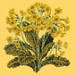 Cowslip Kits Elizabeth Bradley Design Sunflower Yellow 