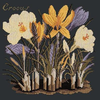 Crocus Needlepoint Kit Kits Elizabeth Bradley Design Black 
